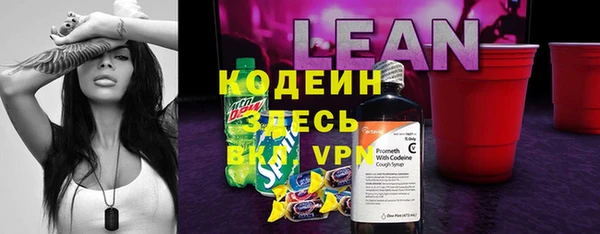 шишки Елабуга