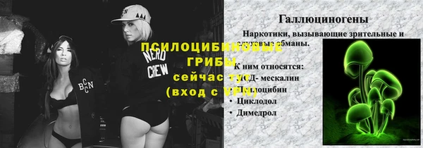 шишки Елабуга