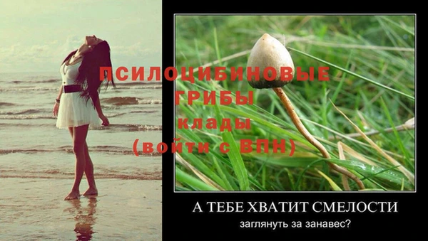 шишки Елабуга