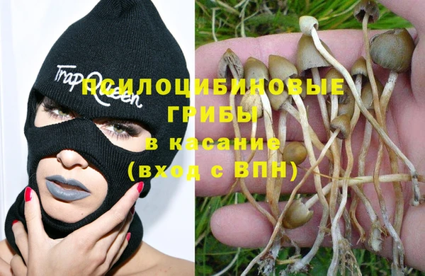 mdma Елизово