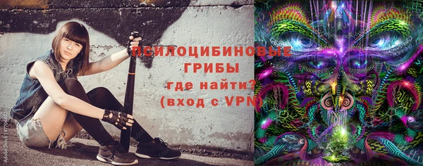 шишки Елабуга
